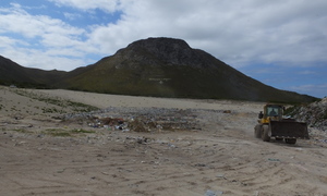 Asgate wolf wolf storie